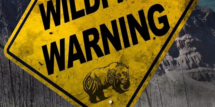 El Dorado County Faces Renewed Fire Insurance Challenges Amid Southern California Wildfires