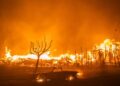 Tahoe Communities Rally to Support Los Angeles Wildfire Victims