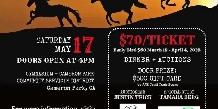 All About Equine Hosts 12th Annual ‘Boots and Bling’ Fundraiser to Support Horse Rescue