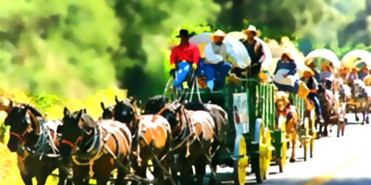 76th Annual Highway 50 Wagon Train: A Journey Through History