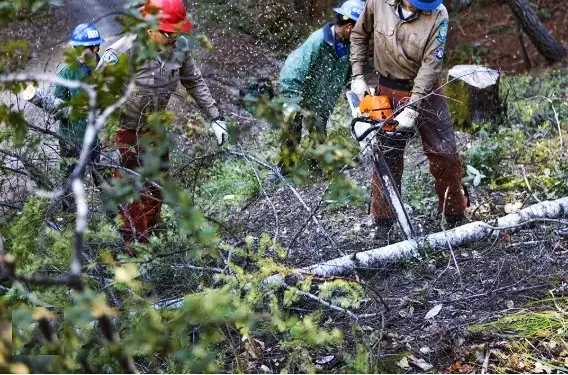 El Dorado County Awaits State Guidance on Emergency Proclamation for Wildfire Prevention