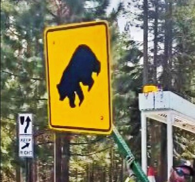 South Lake Tahoe Installs New Bear Awareness Signs Amid Rising Wildlife Collisions