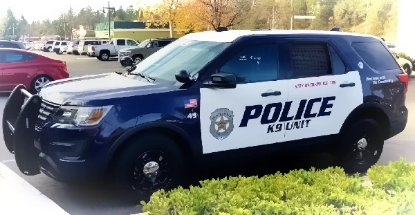 DUI, Assault, Theft and False ID: Five Arrested by Placerville PD on June 10