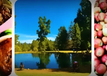 Apple Hill Opens Saturday: Growers Hail Best Apple Crop in Decades