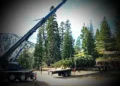 Nevada-Sierra Red Fir Begins Journey to Become U.S. Capitol Christmas Tree