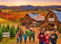 Local Farms Kick Off Holiday Season — Apple Hill Growers Association Christmas Tree Farms Open for 2025 Season