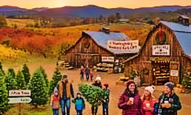 Local Farms Kick Off Holiday Season — Apple Hill Growers Association Christmas Tree Farms Open for 2025 Season