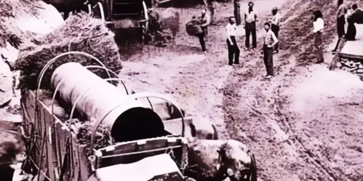 Feeding the Teams: How the Comstock Silver Rush Forged Placerville’s Freight Routes