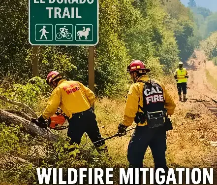 CAL FIRE, El Dorado County Launch Wildfire Safety and Fuel Reduction Project on Unpaved El Dorado Trail