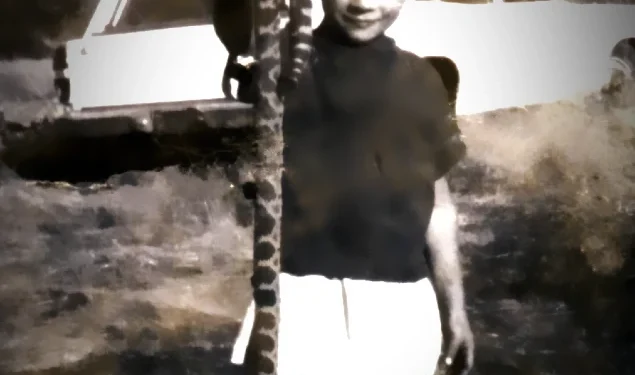 Early Heatwave in El Dorado County Triggers Spike in Rattlesnake Activity