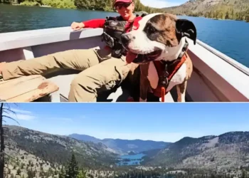 El Dorado SAR K9 Team Deployed to Desolation Wilderness