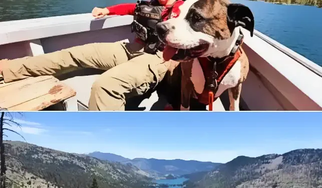 El Dorado SAR K9 Team Deployed to Desolation Wilderness