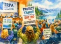 Tahoe Residents Push Back on Caldor Fire Glyphosate