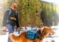 Wilderdog Expands Into REI Stores Nationwide