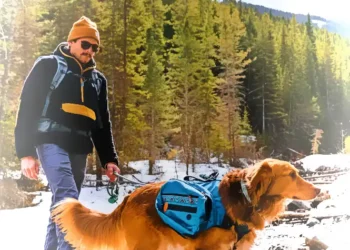 Wilderdog Expands Into REI Stores Nationwide