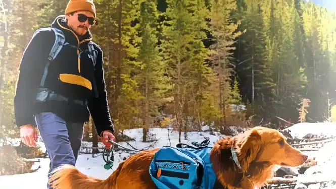 Wilderdog Expands Into REI Stores Nationwide