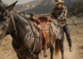Tevis Cup Marks 70 Years Across Sierra Trail