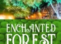 A New Chapter for Enchanted Forest