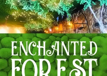 A New Chapter for Enchanted Forest