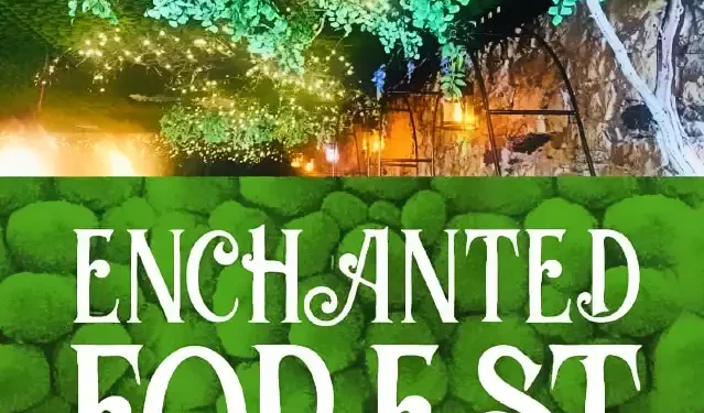 A New Chapter for Enchanted Forest
