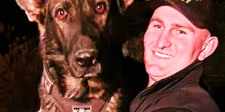 El Dorado County K-9 Neo Retires After Injury