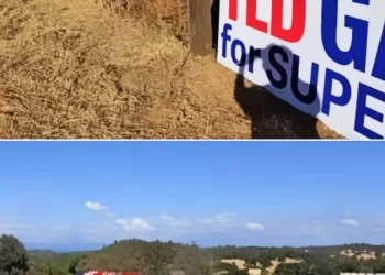 Gina Posey Offers $100 Reward for Stolen Signs