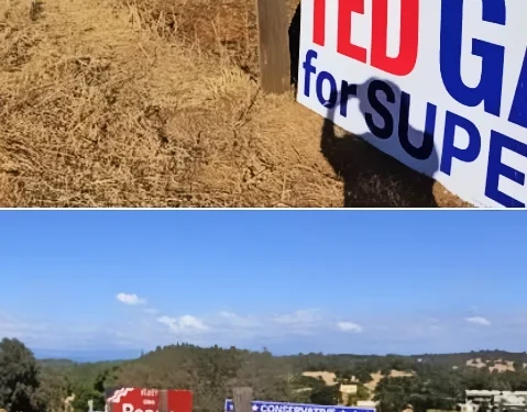 Gina Posey Offers $100 Reward for Stolen Signs