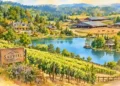 Placerville’s Saureel Vineyards Listed for $9 Million