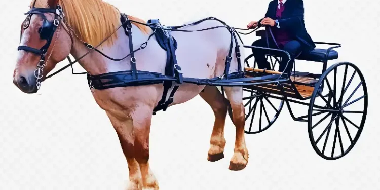 Highway 50 Wagon Train Teamster Wins Top Honor