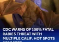 Rabies Warning Issued for El Dorado County Residents