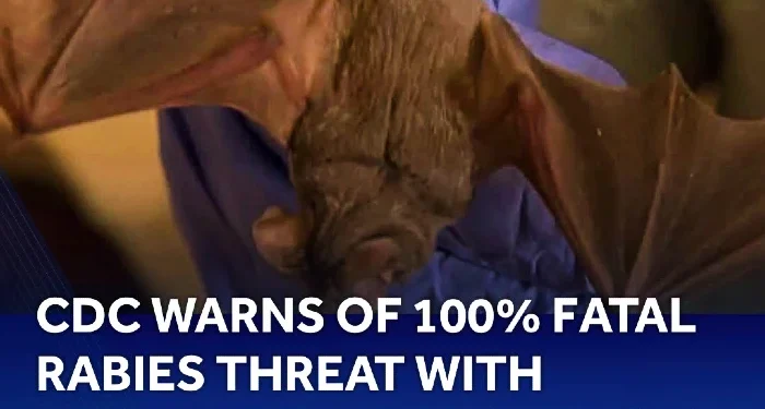 Rabies Warning Issued for El Dorado County Residents