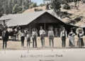 Blair Brothers Lumber: Placerville’s Timber Legacy