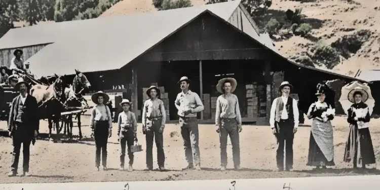 Blair Brothers Lumber: Placerville’s Timber Legacy