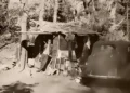 The Cobalt Hotel: A Georgetown Divide Family Mystery