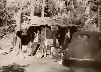 The Cobalt Hotel: A Georgetown Divide Family Mystery