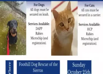 Free Pet Vaccine Clinic Set for Oct. 25 in El Dorado County