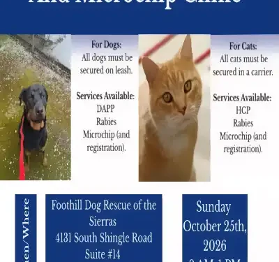 Free Pet Vaccine Clinic Set for Oct. 25 in El Dorado County