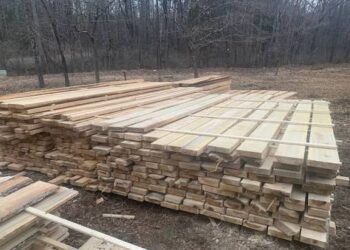 Tahoe Sawmill Project Turns Trees Into Local Lumber