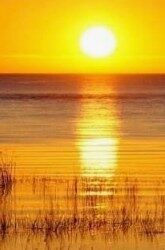 Brenda Paulette Brumley, 79, of Pollock Pines Dies