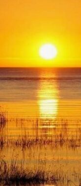 Brenda Paulette Brumley, 79, of Pollock Pines Dies